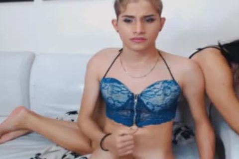 slutty shemales pleasure Each Others schlongs And Holes