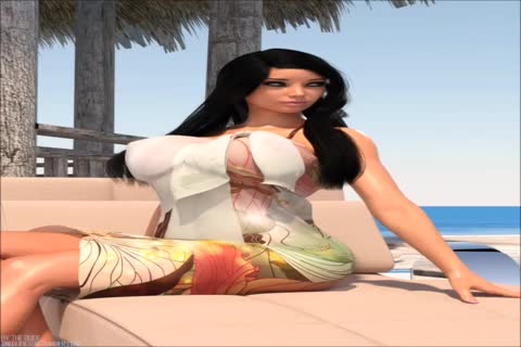 3D tranny 48