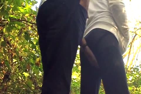 admirable Sex In The Woods