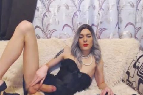 lusty White ladyboy Strokes On Her enormous Hard rod
