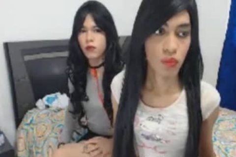 Two juicy sheboy engulf And fuck