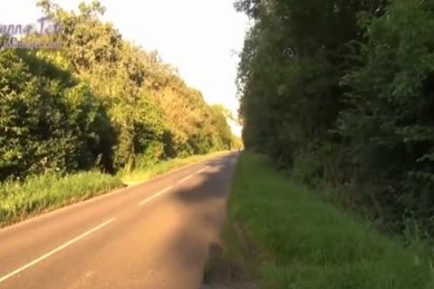 tasty ladyman plowed In The Woods