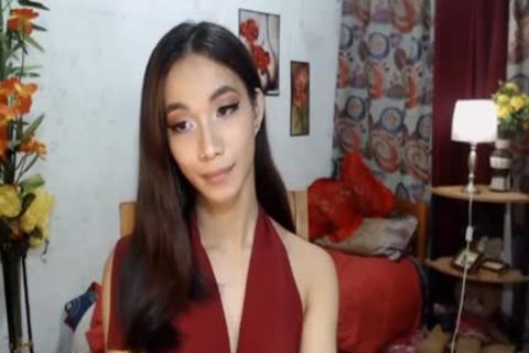 asian Ladyboy Jerking Her jock On cam