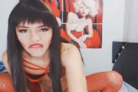 latin chick tranny acquires Her sexy ass nailed