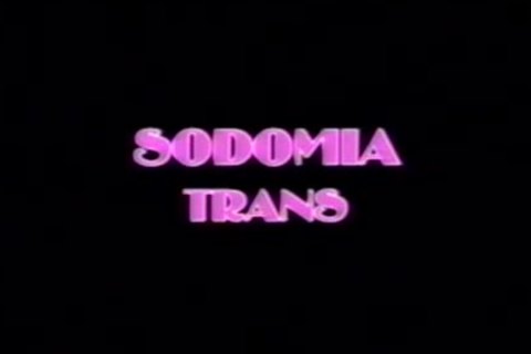 Sodomia Trans