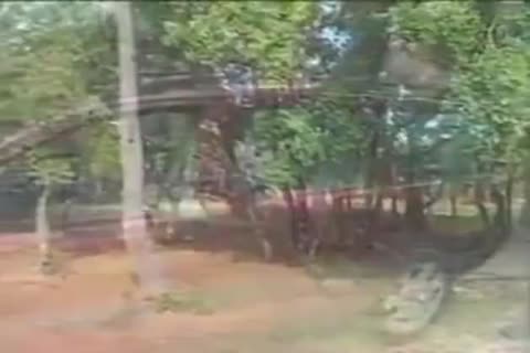 nice-looking Ladyboys Sucks And bonks outside