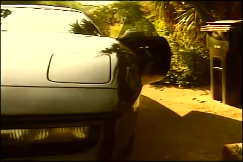 VINTAGE dark ladyboy 2