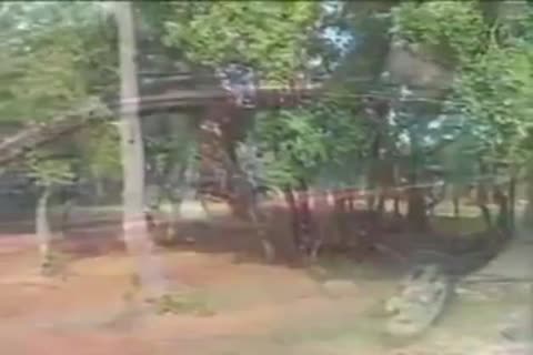 delicious Ladyboys Sucks And Sexs outside