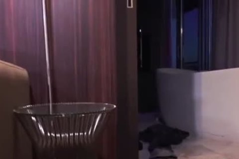 lovely(test) BI PANSEXUAL fuckfest (i Have Ever Seen)