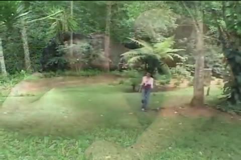 lalin girl Ts Acquires Her butthole Nailed