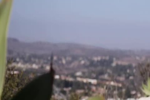Ts Ryder Enjoys sucking dudes large cock