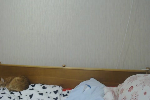 Russian ladyman three