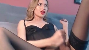 skinny Colombian tranny In darksome lingerie And stockings Tugs Her large dong