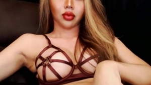 Incredible shemale With lengthy brunette hair penis