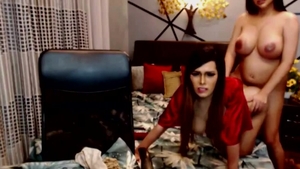 Two juicy trannies Cumming Hard On web camera