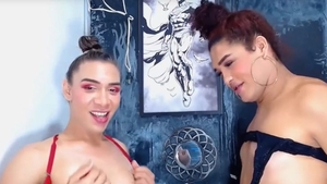 ladyboy couple pleasure Each Other dicks