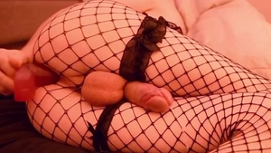 cum Comp 1