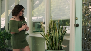 Switch: Training in Dominance with a Flick of Hazel's Wrist