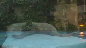 busty blonde shemale booty plowed By The Pool