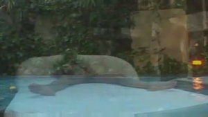blonde tranny gets plowed Hard By The Pool