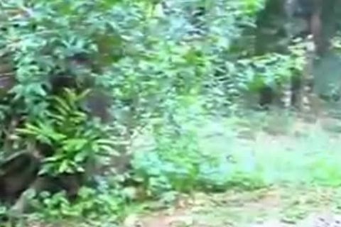 The outstanding Fabiola Prado In Outdoor Interracial action