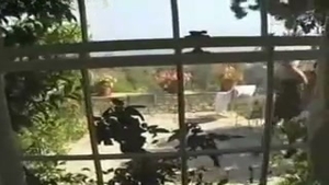 busty TS Beauties charming Play