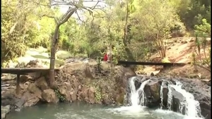 beautiful Outdoor tgirl pooper fuck