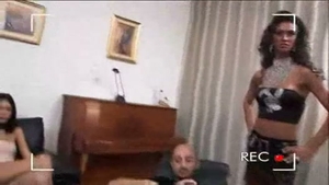 Transex  fuckfest